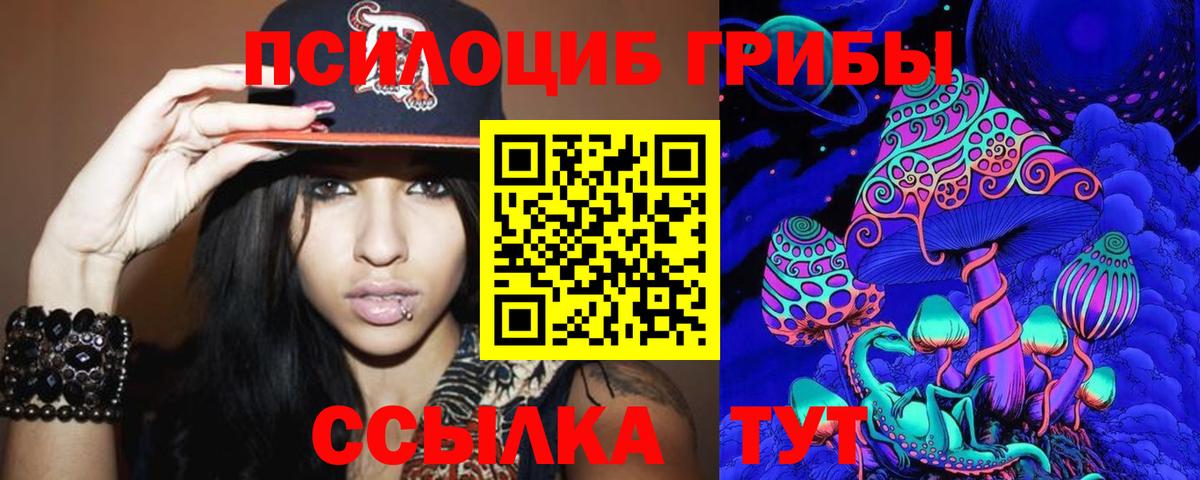 Галлюциногенные грибы Magic Shrooms Заречный